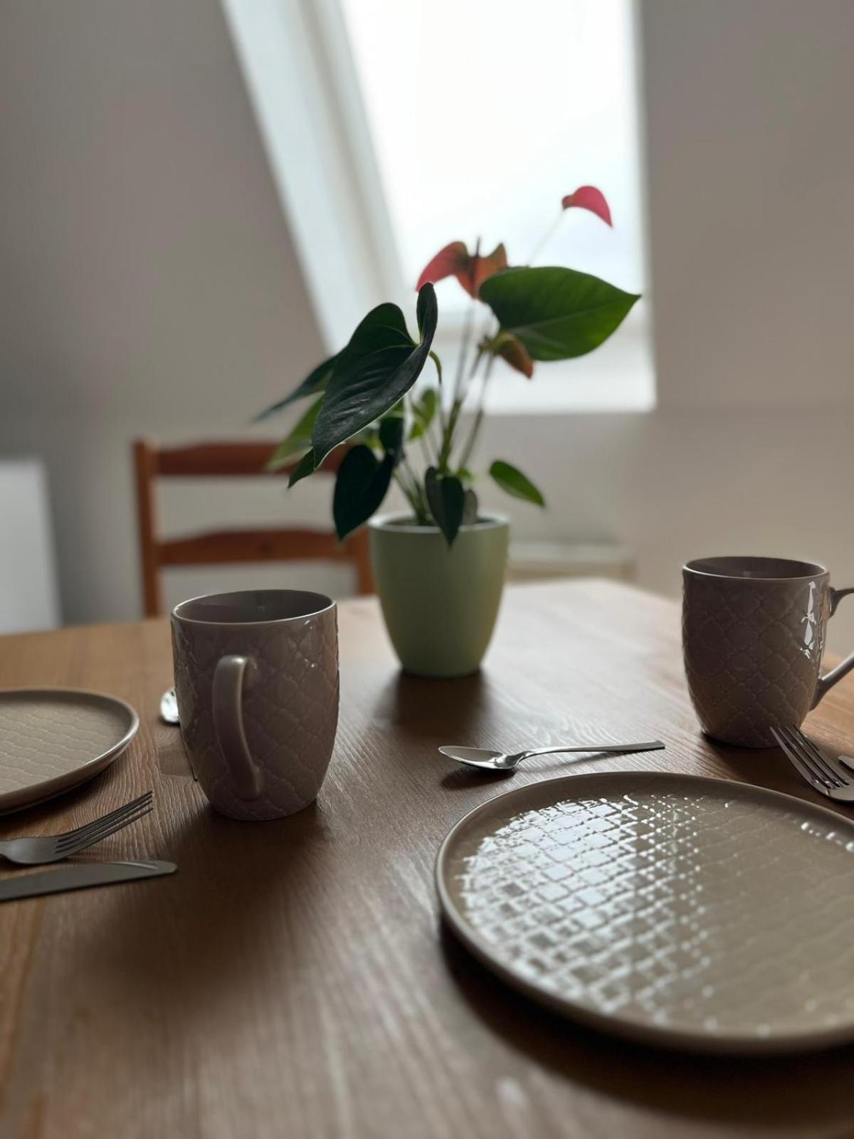 1 Raum Dachgeschosswohnung In Ruhiger Lage Limbach-Oberfrohna Ngoại thất bức ảnh